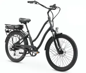 EVRY journey 500W  Deluxe Edition 2025 E-Bike