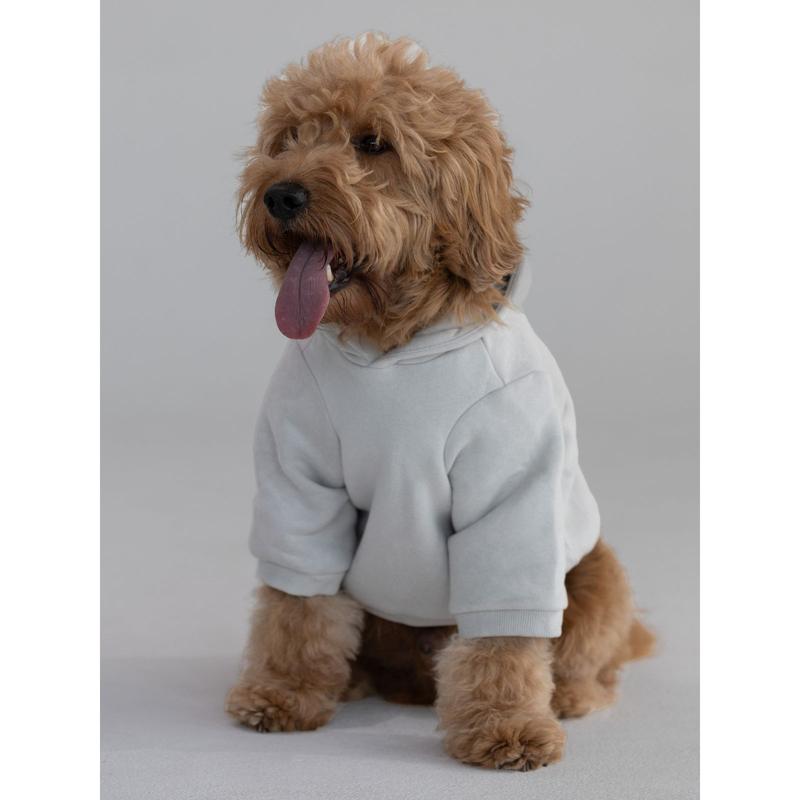 Comfrt | Standard Paw Hoodie