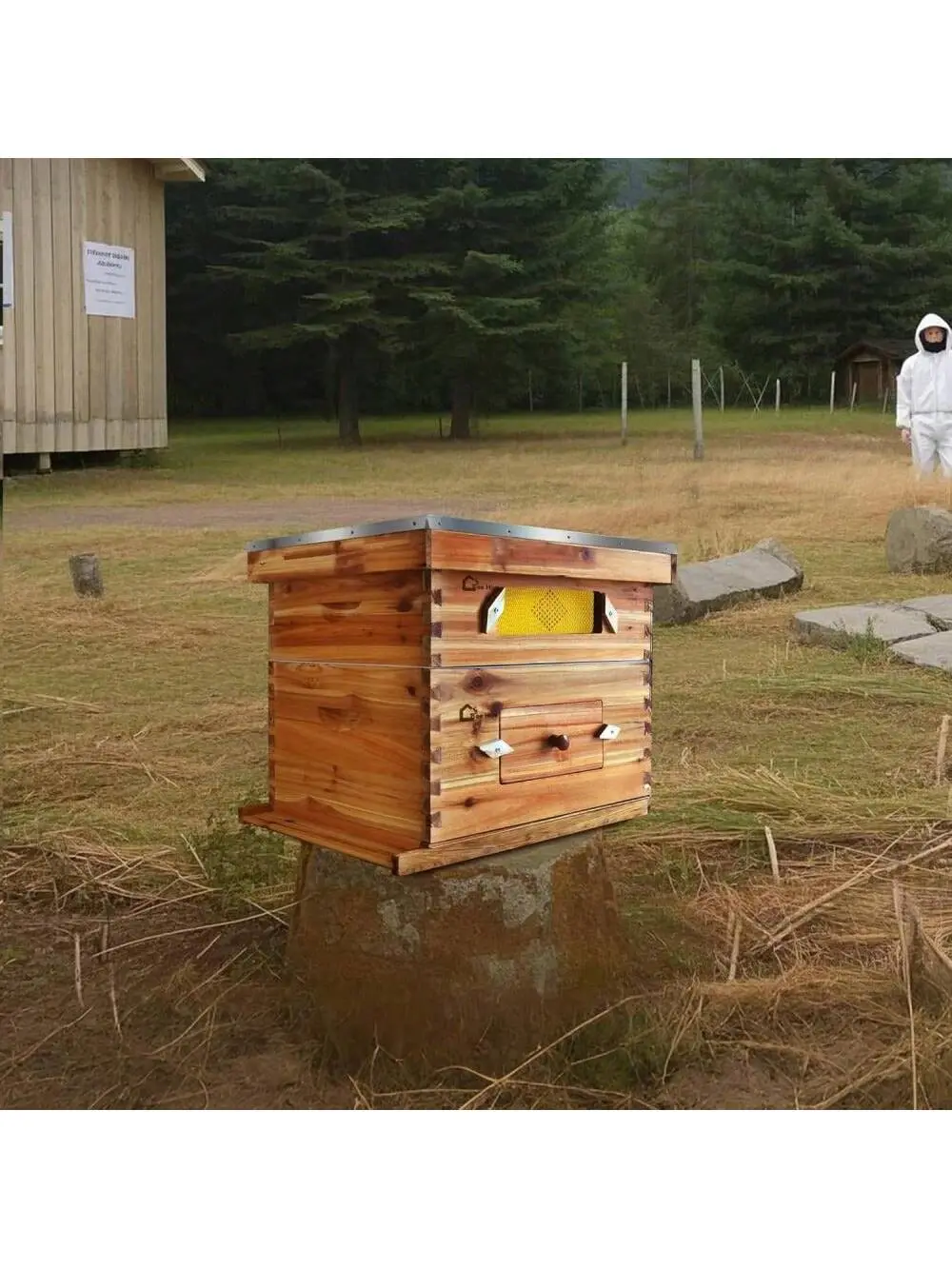Gaomon Outdoor 10-Frame Langstroth Bee Hive Starter Kit, 100% Beeswax-Dipped Cedarwood Set for Beginner Beekeepers - 1 Deep Box, 1 Ventilated Medium Box with Acrylic Window, Frames, Wax Foundations, Metal Cover