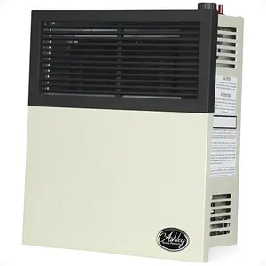 Ashley Hearth Products 11,000 BTU Direct Vent Liquid Propane Wall Mount Heater