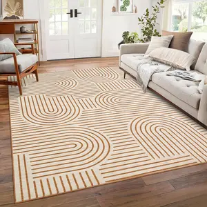Abstract Lines Carpet Washable Rainbow Colors Interior Decorative Rug Soft Non-slip for Bedroom Dining Room Bathroom Office