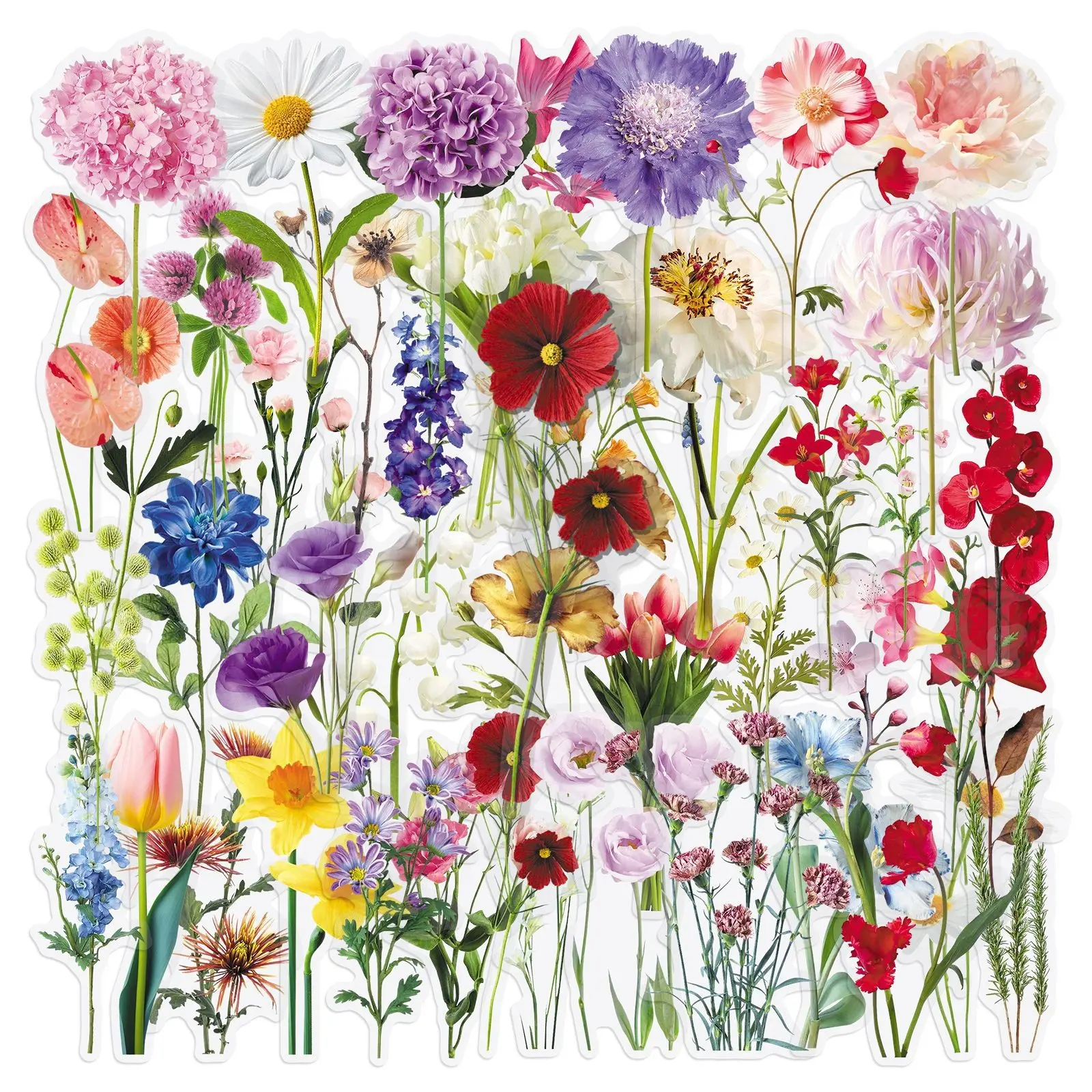 50Pcs Transparent Flower Stickers for Scrapbooking, Scrapbook Accessories, Floral Stickers Colorful Vintage Craft Decoration Clear Flowers Decals Collage Pack Aesthetic Art Stickers
