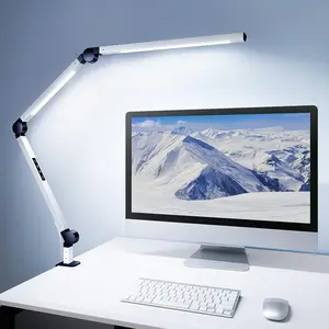 Clamp-on Dual LED Desk Lamp with Adjustable Brightness