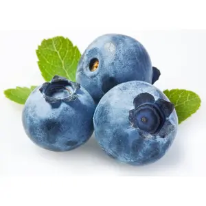 200PCS Blueberry Fruit Bonsai Seeds For Planting for Planting - Fruit Seed For Planting Heirloom Non-GMO Seed For Hydroponic Garden Sweet High Yields