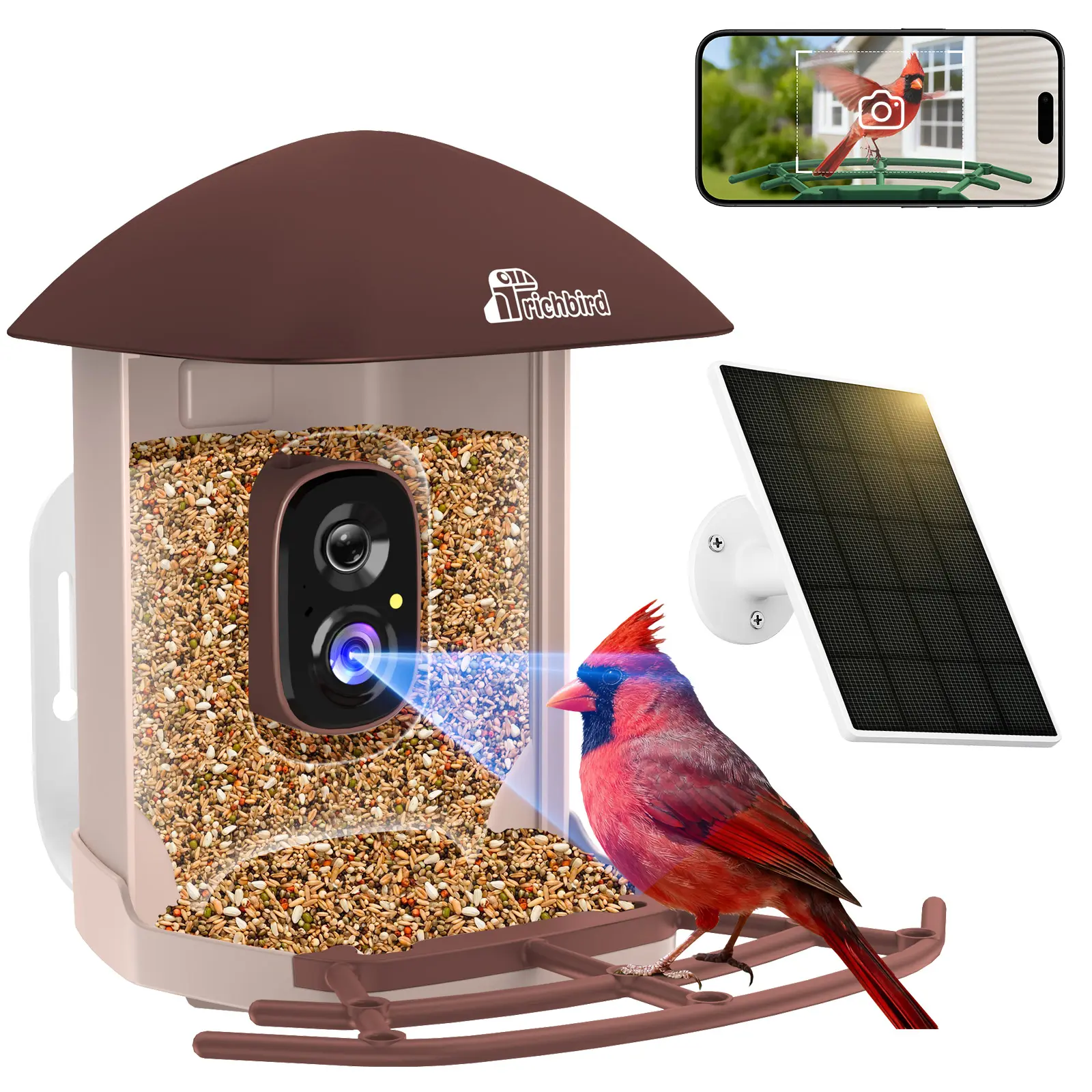 Revive Plus Smart Bird Feeder | 4MP | Birdwatching Camera with Free AI Bird Identification | Instant Notifications & Auto Video Capture