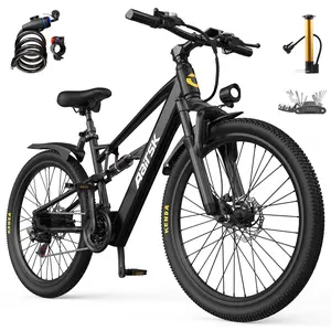 Aarisk electric bike, 26-in, F1, 48V 13Ah, 748W peak power, lithium battery, dual suspension, removable tires, 40-mile maximum range, 13 speeds, LED lights, display and NPC unlocking, dual disc brakes