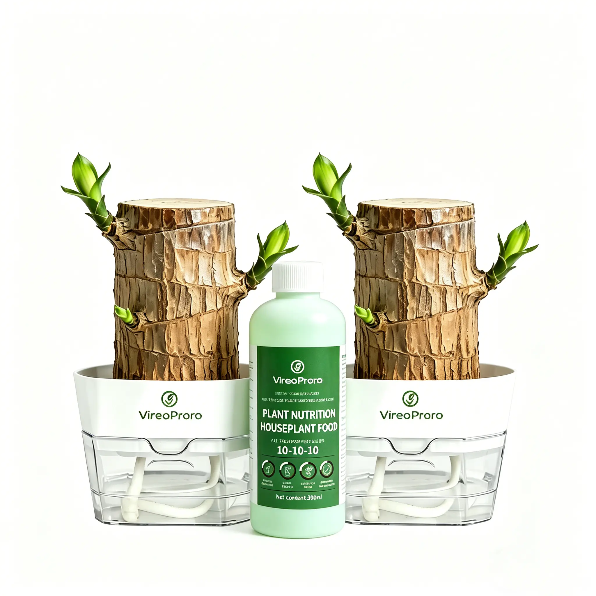 2 Brazilian Lucky Wood+ 1 Nutrient solution