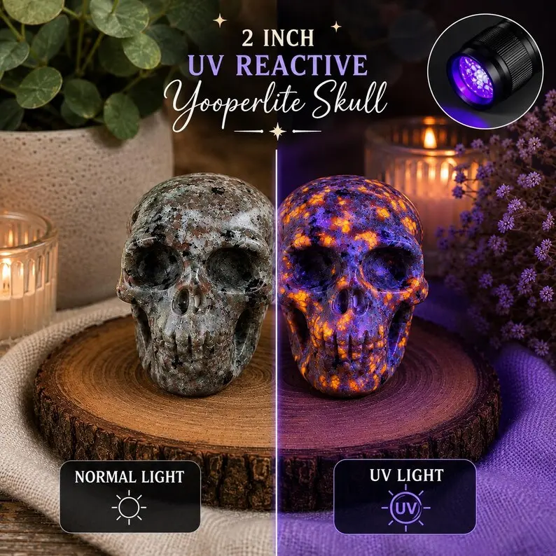 Catherinedesignsnyc  Yooperlite Hand Carved Skull UV Glowing Stone Figurine Collection for Halloween Gift
