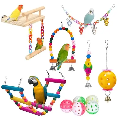 Bird swing set 1