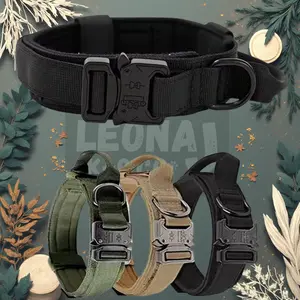 Breakaway 1.5 Dog Collar