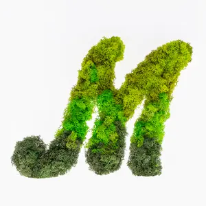 Kahee's Plants - OMBRE Moss Letters made with Real High Quality Preserved Moss and Natural Wood Pot for Esthetic Home Decor