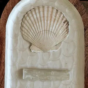 natural seashell tray