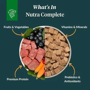 Nutra Complete, 100% Freeze Dried Raw Veterinarian Formulated Dog Food with Antioxidants Prebiotics and Amino Acids (1 Pound, Beef)