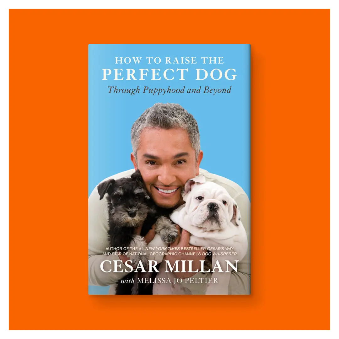 How to Raise the Perfect Dog: Through Puppyhood and Beyond by Cesar Millan (Trade Paperback Book)