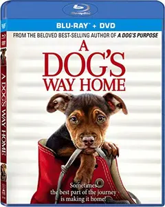 USED-A Dog's Way Home (Blu-ray)