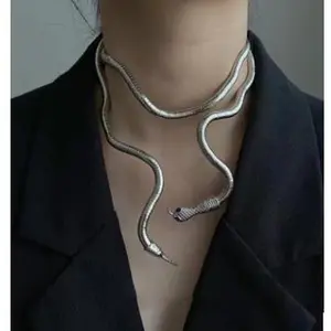 Exaggerated Snake Necklace Women's Collar Alloy Necklace Punk Wrap Vintage Cold Wind Snake Necklace Men's Snake Bone Chain jewelry