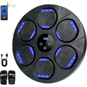 Music Boxing Machine for Adults and Kids, Bluetooth Music Punching Machine Wall Mounted Boxing Equipment with Gloves, Workout Equipment for Home, Office, Gym