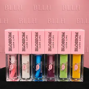 BLLH 6 Piece Lip Gloss Bundle