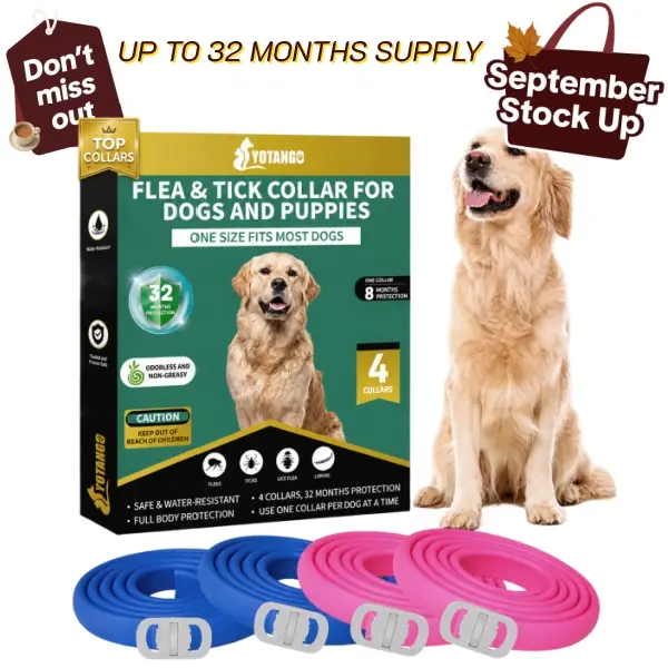 YOTANGO 4-Pack Adjustable Dog Flea and Tick Collars - Waterproof, 32-Month Prevention, Effective Within 24 Hours, Fashionable, Flexible Rubber, Secure Clasp Hold for Small Puppies (Blue & Pink) sohochic tiktokshopstockup