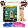YOTANGO 4-Pack Adjustable Dog Flea and Tick Collars - Waterproof, 32-Month Prevention, Effective Within 24 Hours, Fashionable, Flexible Rubber, Secure Clasp Hold for Small Puppies (Blue & Pink) sohochic tiktokshopstockup