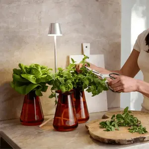 Counterstand Set - Grow Fresh Herbs Greens & Edible Flowers on Your Countertop - Snip As Needed for Weeks of Delicious Waste-Free Harvests