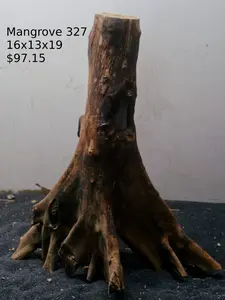 Mangrove Tree Stump 327