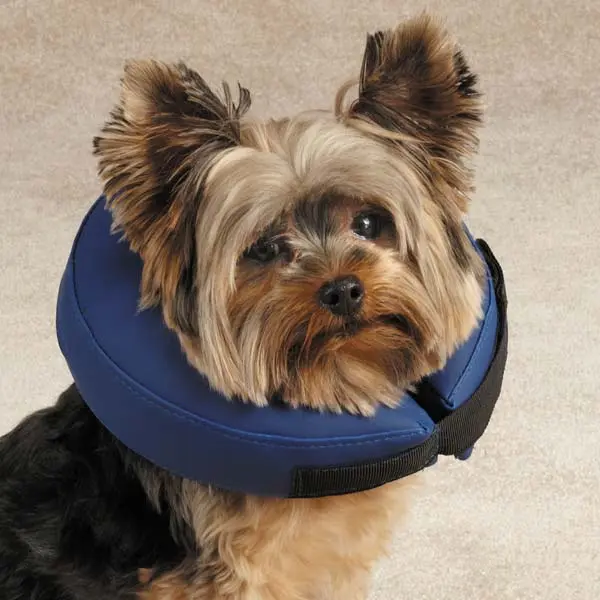 Health Inflatable Collar Med Blue