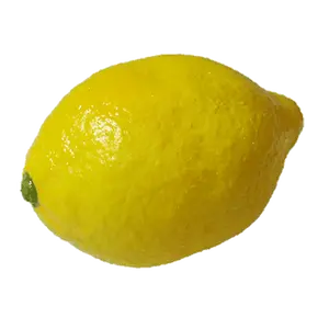 Super Real Latex Lemon - Trick