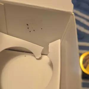 Product Review of EVIL GOODS! Whipped Beef Tallow & Manuka Honey Organic Nourishing Face Cream Moisturizer Body Lotion Skin Care Lip Balm Hydrating Moisturizing 100% Natural Ingredients - Oil from B**y I**n