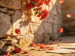 Bougainvillea Live Plant Starter – Easy Care Flowering Vine for Home Garden, Patio & Balcony, Beginner Friendly Outdoor Plant, Heat Tolerant Colorful Landscape Shrub