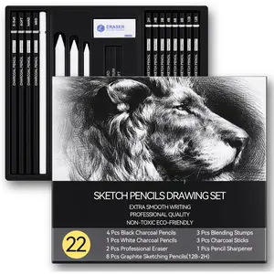 Drawing Sketching Pencil Set, 22 count Pro Art Pencil Kit - Graphite Pencils (12B-2H), Black and White Charcoal Pencils, Charcoal Sticks, Stumps, Eraser, Sharpeners