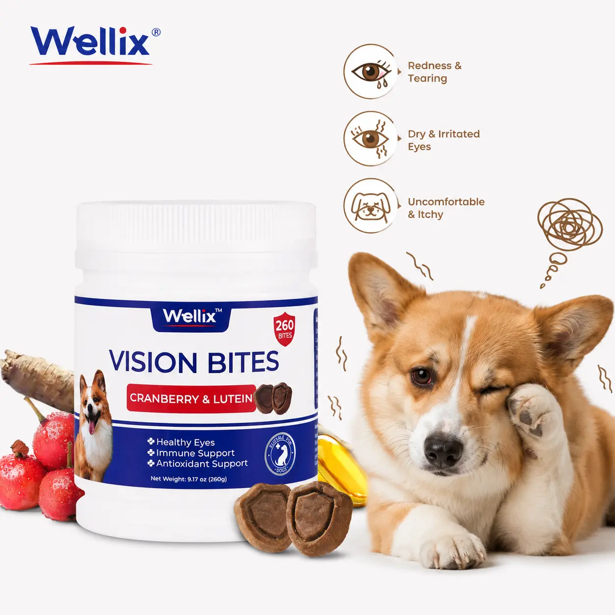 Wellix 260-Count Dog Vision Bites with Cranberry Extract, Lutein, Taurine, Reduces Tear Stain, Provides Antioxidant & Immune Support, Chicken Flavor