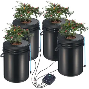 DWC Hydroponic System 5 Gallon 4 Bucket, Deep Water Culture Grow Kit with Air Pump, Stones, for Indoor Vegetables & Herbs