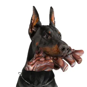 Dragon Shaped Dog Chew Toy, Chew Stick, Durable Dog Teething Toy, Pet Chew Toy, Dog Teeth Cleaning Toy, Interactive Dog Toy, Dog & Cat Accessories