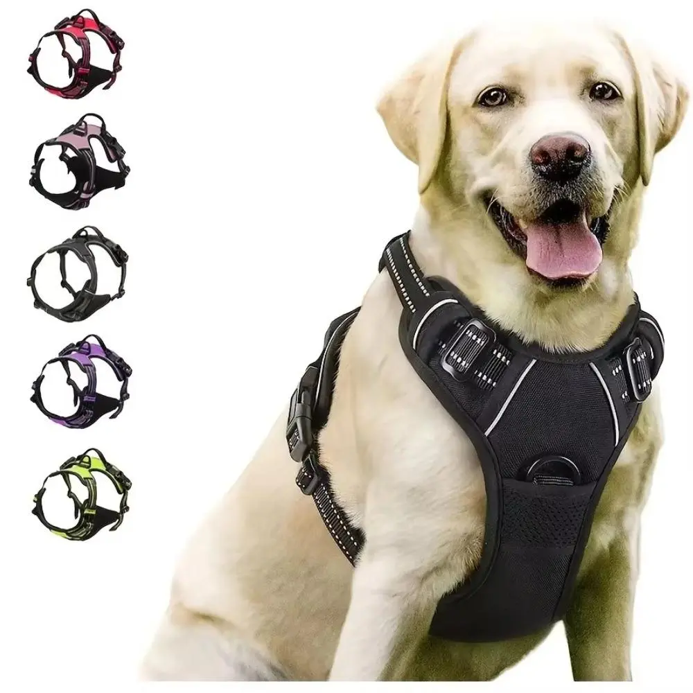 Dog 3-Piece Leather Harness Leash Combo Pack - Adjustable, Soft, Breathable Fit Puppy Vest Harness Kit, Durable Pet Walking Training Gear for Small-Medium Dogs (Sports & Outdoor Pet Accessories)