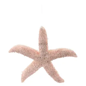11"L X 2.25"H Pearl Glitter Starfish Orn Pink Sand/Ivory/Gold XJ7050