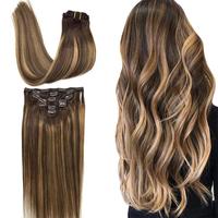 #4/27/4 Balayage Chocolate Brown to Caramel Blonde