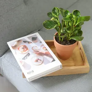 Peperomia 'Marble' Peperomia 'Marble'