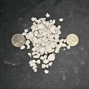 Perlite Course Grade 3 for soil mixture approximately 1 lbs