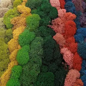 SuperMoss (23310) Moss Mix - Best Sellers, 80.75 Cubic Inch Bag (Appx. 2 Ounce)