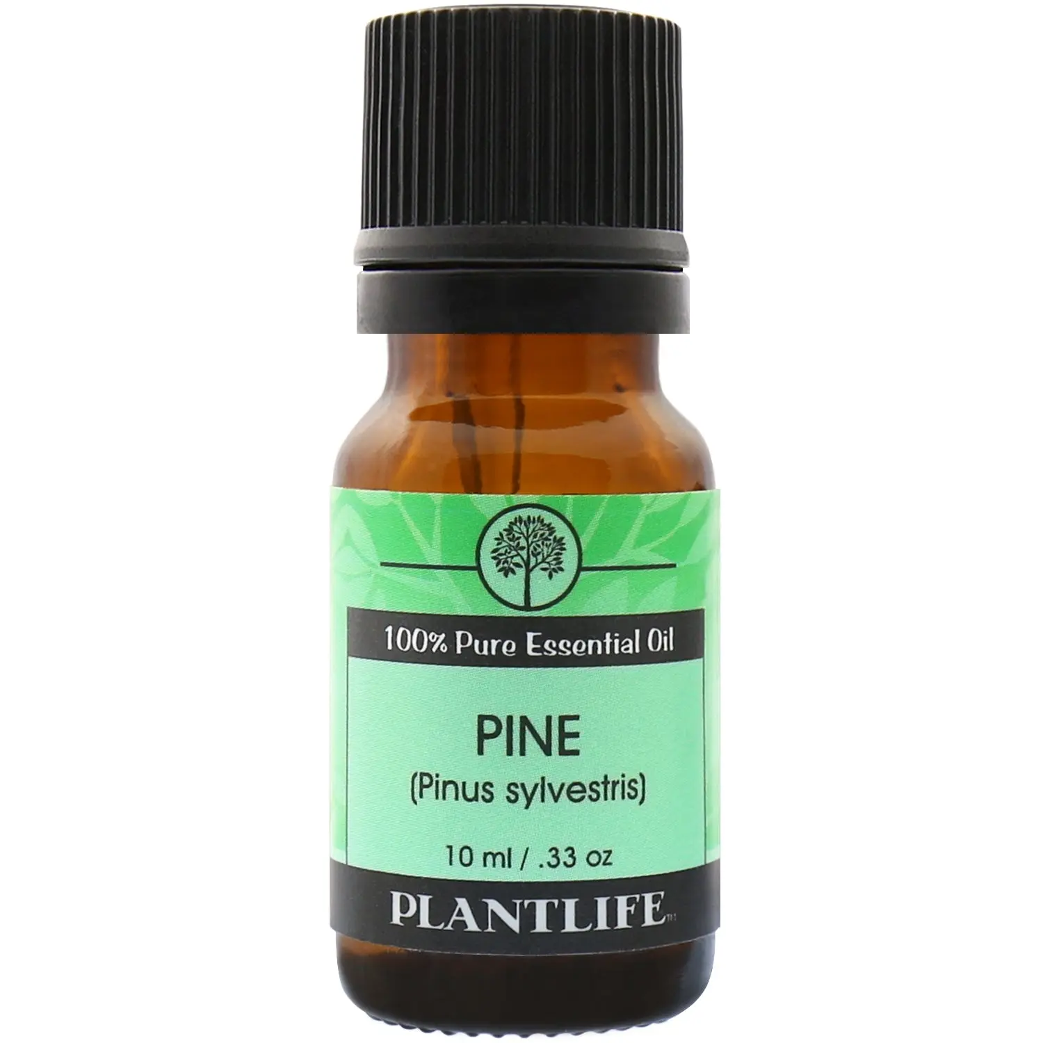 Plantlife Pine Needle Essential Oil – Fresh Evergreen Aromatic Oil for Diffusion and Natural Wellness