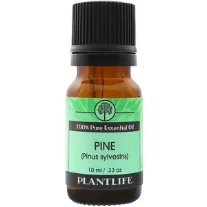 Plantlife Pine Needle Essential Oil – Fresh Evergreen Aromatic Oil for Diffusion and Natural Wellness