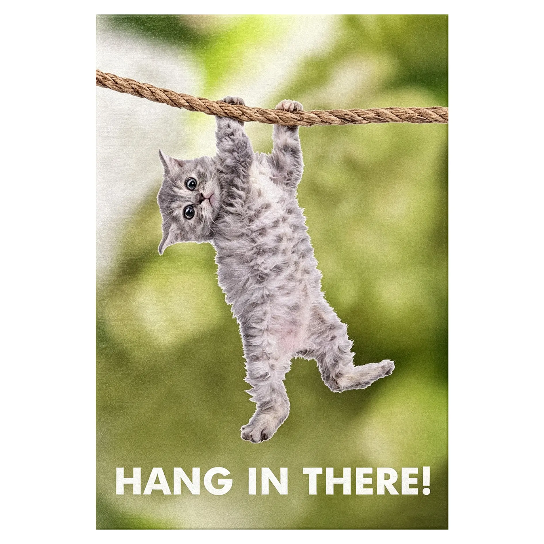 Hang In There Cat Poster Kitten Kitty Picture Motivational For Office Inspirational Cool Wall Art Print Poster 12x18