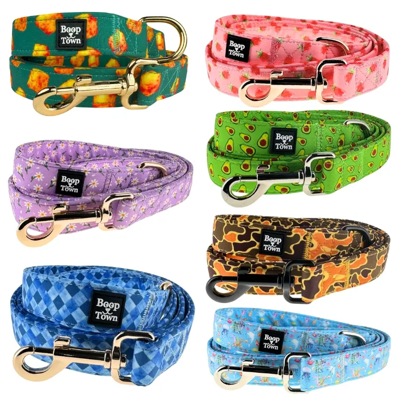 Dog Leashes 5 Feet Long Small, Medium, Large Boy Girl Dogs