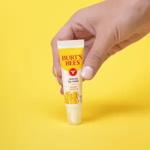 Burt's Bees Rescue Lip Relief Honey Vanilla