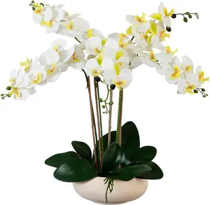 Damomo Nearly Natural 23" Faux Phalaenopsis Orchid in White Ceramic Pot – Real Touch Artificial Flowers for Home & Office Décor, Lifelike White Orchid Arrangement