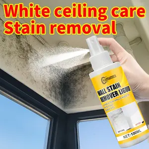 Wall Stain Remover Spray, Ceiling & Furniture Spot Treatment, Tile Grout Care Gel, Washer & Bathroom Stain Remover, Full Scene Wall Care Agent
