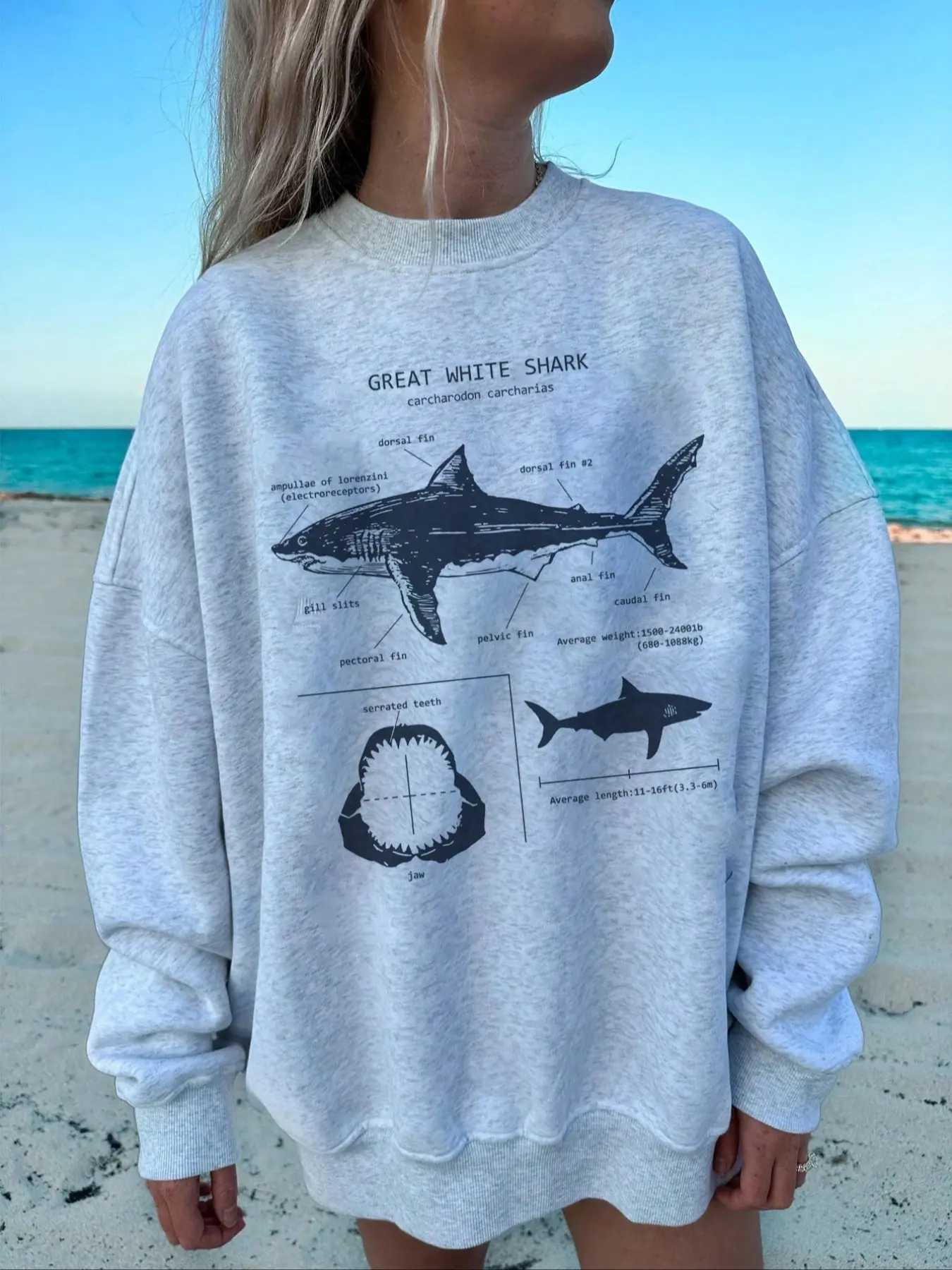 Women's Ocean Animal Shark Print Long Sleeve Knit Pullover Sweatshirt Tops, Knitwear Womenswear Fall & Winter Casual Oversized Loose-Fit Baggy Oversize Round Neck Jumper, Holiday Style Fabric