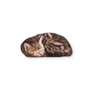 A KITTEN YOU CAN CLEAN YOUR GLASSES WITH