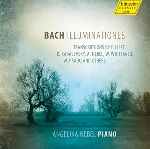 Liszt / Nebel / Prado / Kuhlstrom / Nebel - Illuminationes  [COMPACT DISC - CD]